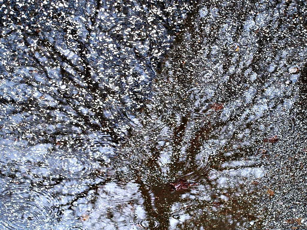 Rainy puddle reflection. 11.02.14